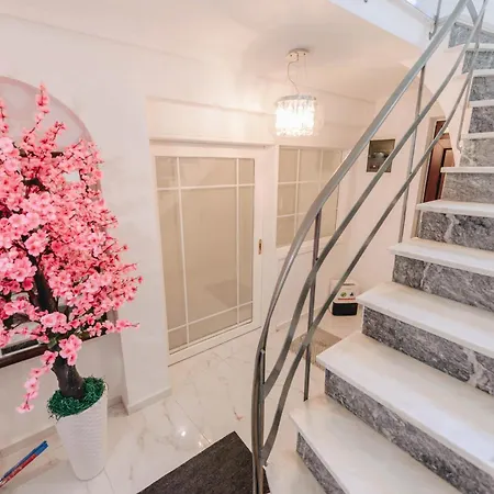 Sunrise 阿格里亚